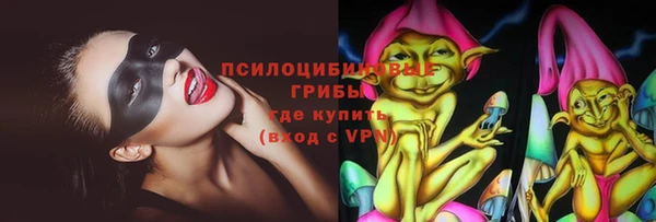 марки lsd Горняк