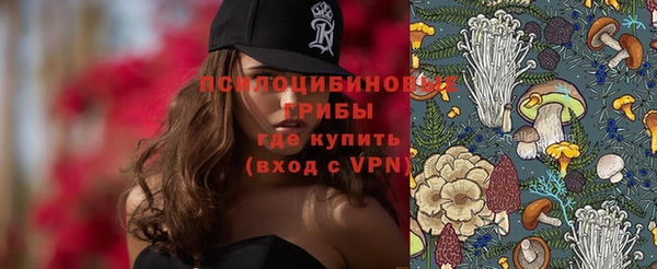 прущие крисы Мегион