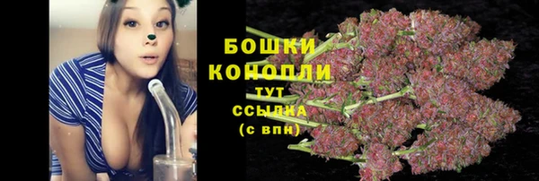 спайс Чекалин