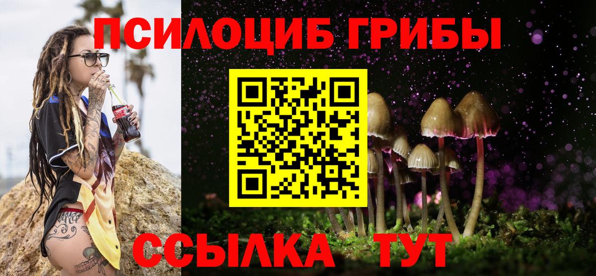 Медногорск  Галлюциногенные грибы мицелий  продажа наркотиков  Вход с VPN 