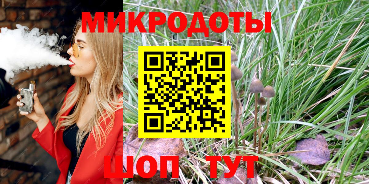 где можно купить наркотик  Медногорск  Псилоцибиновые грибы прущие грибы  Галлюциногенные грибы Psilocybe 